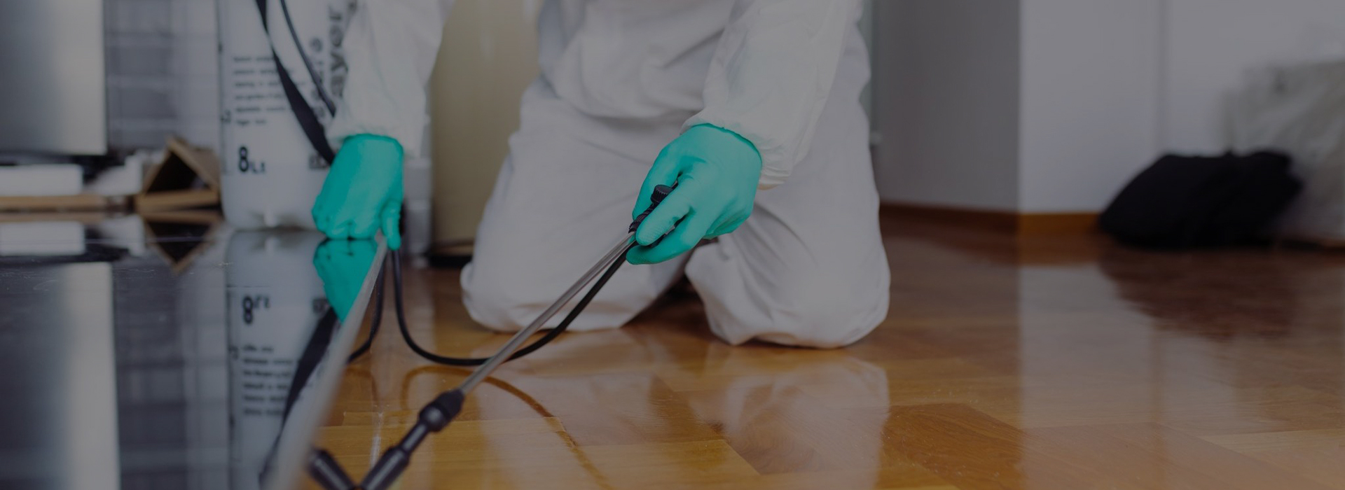 Pest Control Companies in Bahrain